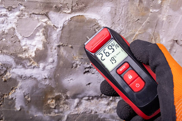 Best Bathroom Mold Remediation in Weedpatch, CA